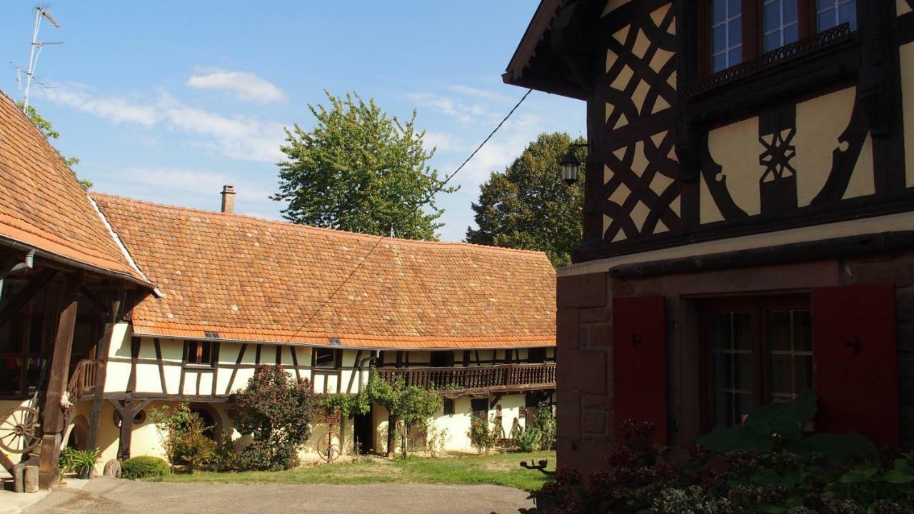 Le Gite Des Ecureuils Schalkendorf Exterior photo