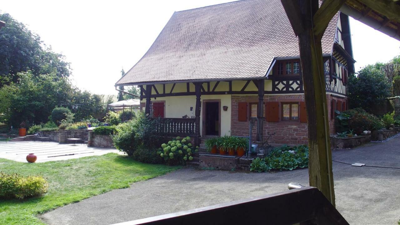 Le Gite Des Ecureuils Schalkendorf Exterior photo